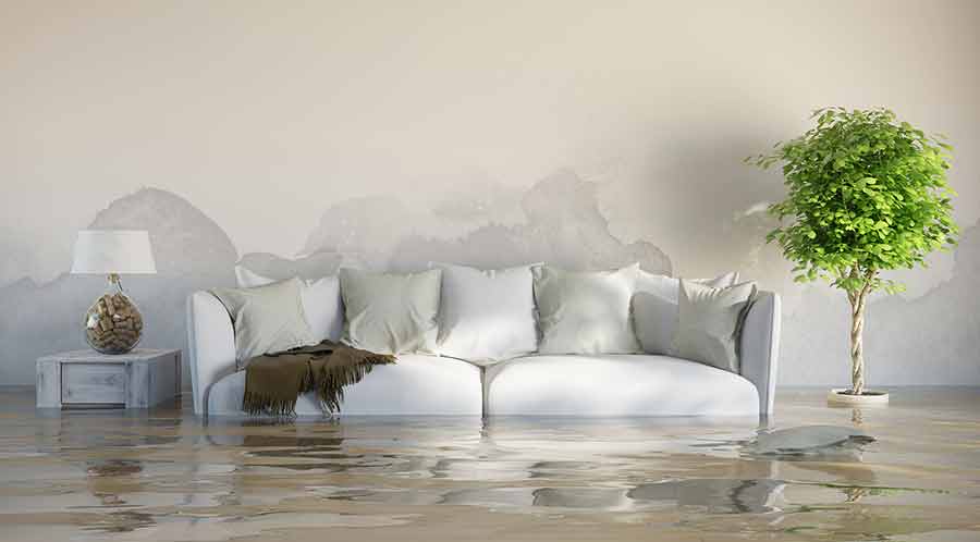 Do You Need A Public Adjuster Water Damage