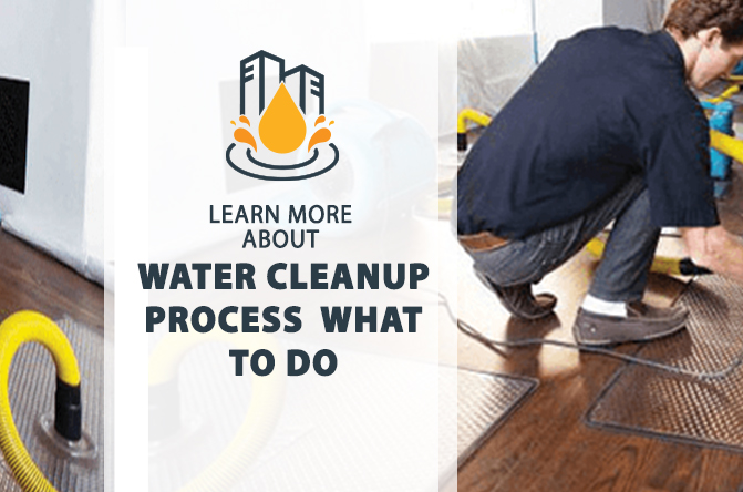 Water Cleanup Process: What to Do?