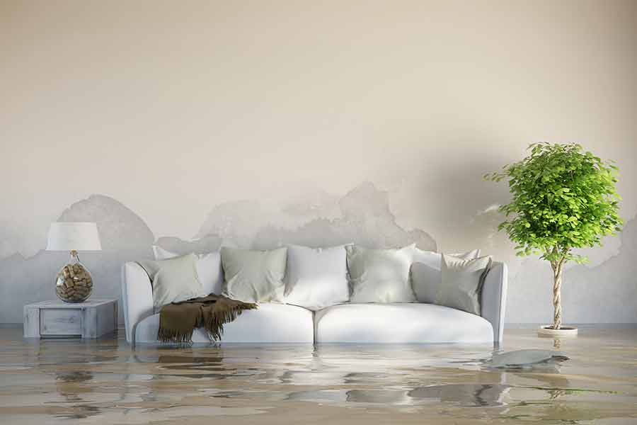 Residential Water Damage Restoration Living Room