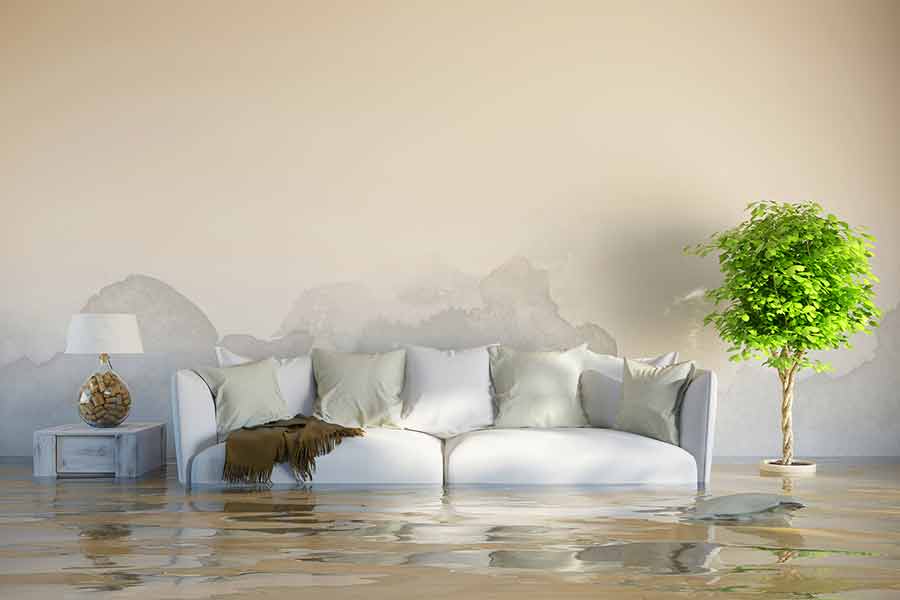 Water Cleanup Living Room