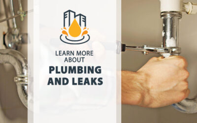 Residential Plumbing and Leaks Damage