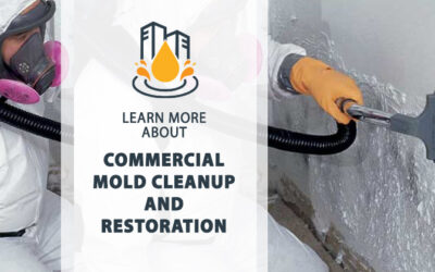 commercial mold cleanup and restoration