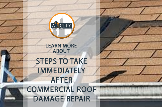 Steps to Take Immediately After Commercial Roof Damage  Repair